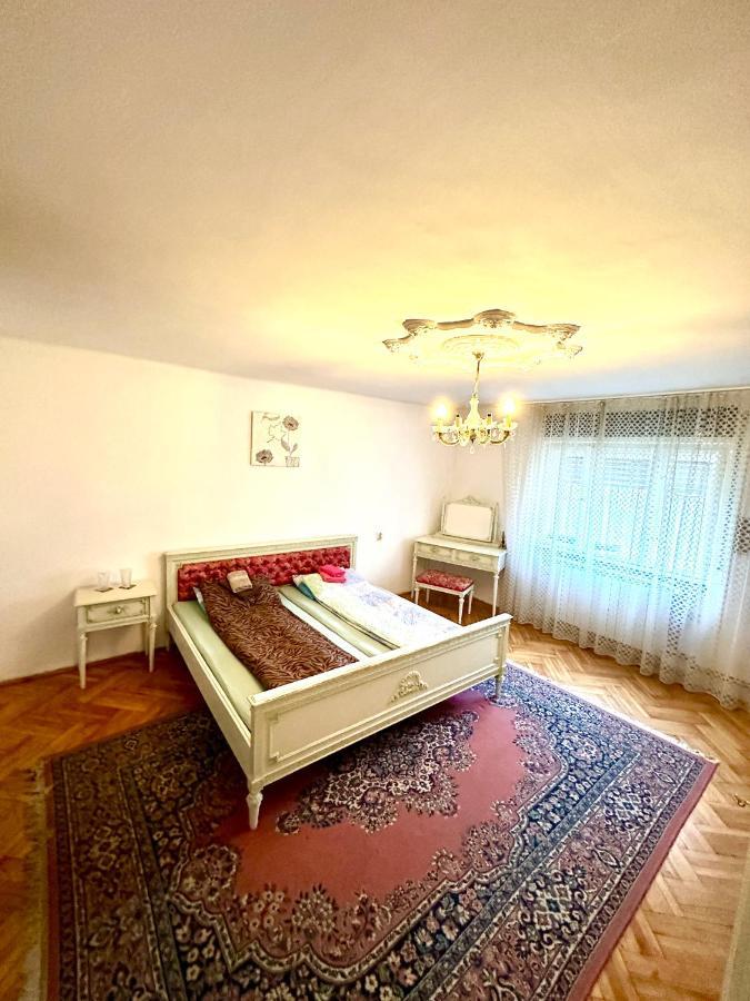 Mosaico Alfetta Auberge de jeunesse Timişoara